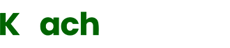 system logo
